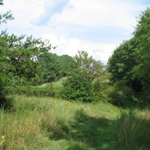 Photo of SOLD!  30.30 Acres of  Farm Land For Sale in Alamance County NC!