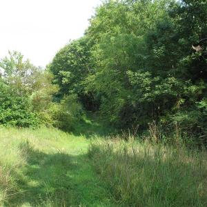 Photo of SOLD!  30.30 Acres of  Farm Land For Sale in Alamance County NC!