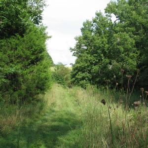 Photo of SOLD!  30.30 Acres of  Farm Land For Sale in Alamance County NC!
