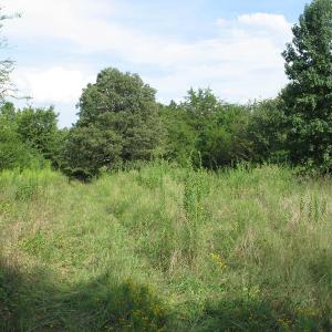 Photo of SOLD!  30.30 Acres of  Farm Land For Sale in Alamance County NC!