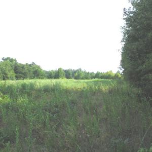Photo of SOLD!  30.30 Acres of  Farm Land For Sale in Alamance County NC!