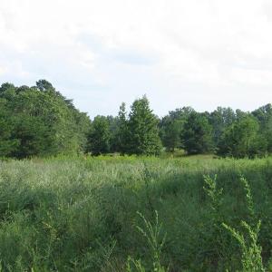 Photo of SOLD!  30.30 Acres of  Farm Land For Sale in Alamance County NC!