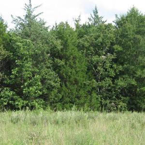 Photo of SOLD!  30.30 Acres of  Farm Land For Sale in Alamance County NC!