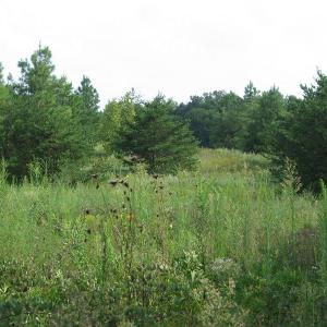 Photo of SOLD!  30.30 Acres of  Farm Land For Sale in Alamance County NC!
