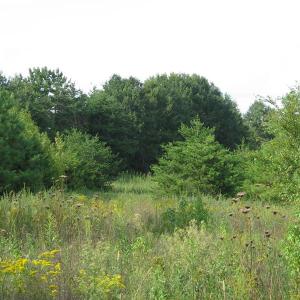Photo of SOLD!  30.30 Acres of  Farm Land For Sale in Alamance County NC!