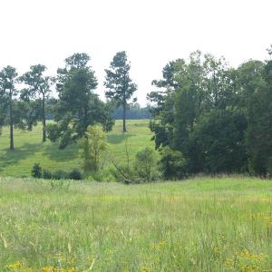 Photo of SOLD!  30.30 Acres of  Farm Land For Sale in Alamance County NC!