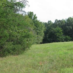 Photo of SOLD!  30.30 Acres of  Farm Land For Sale in Alamance County NC!