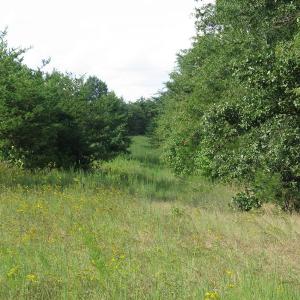 Photo of SOLD!  30.30 Acres of  Farm Land For Sale in Alamance County NC!