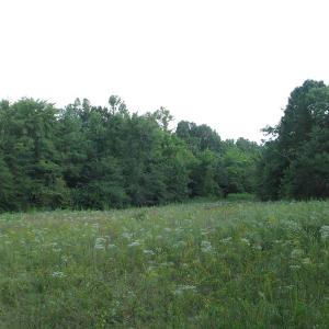Photo of SOLD!  30.30 Acres of  Farm Land For Sale in Alamance County NC!