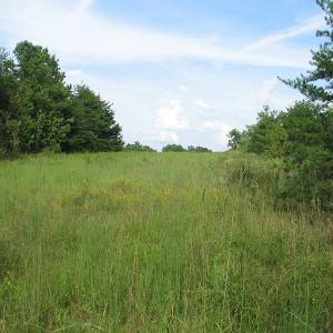 Photo of SOLD!  30.30 Acres of  Farm Land For Sale in Alamance County NC!