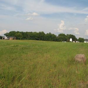 Photo of SOLD!  30.30 Acres of  Farm Land For Sale in Alamance County NC!