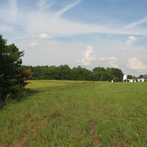 Photo of SOLD!  30.30 Acres of  Farm Land For Sale in Alamance County NC!