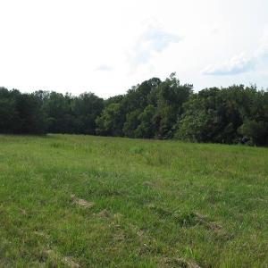 Photo of SOLD!  30.30 Acres of  Farm Land For Sale in Alamance County NC!