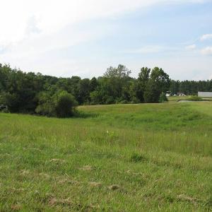 Photo of SOLD!  30.30 Acres of  Farm Land For Sale in Alamance County NC!