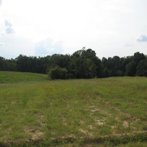 Photo of SOLD!  30.30 Acres of  Farm Land For Sale in Alamance County NC!