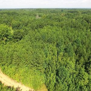 Photo of UNDER CONTRACT!  37 Acres of Hunting and Recreational Land For Sale in Brunswick County VA!