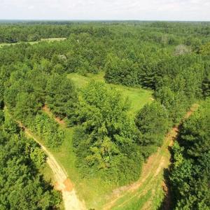 Photo of UNDER CONTRACT!  37 Acres of Hunting and Recreational Land For Sale in Brunswick County VA!