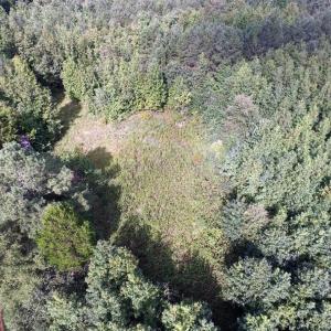 Photo of UNDER CONTRACT!  37 Acres of Hunting and Recreational Land For Sale in Brunswick County VA!
