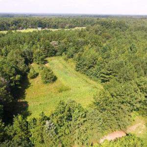 Photo of UNDER CONTRACT!  37 Acres of Hunting and Recreational Land For Sale in Brunswick County VA!