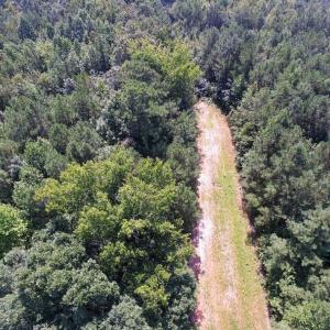 Photo of UNDER CONTRACT!  37 Acres of Hunting and Recreational Land For Sale in Brunswick County VA!