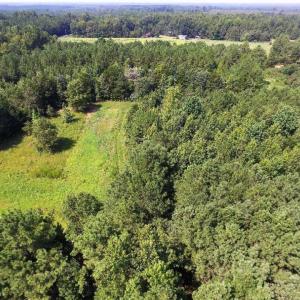 Photo of UNDER CONTRACT!  37 Acres of Hunting and Recreational Land For Sale in Brunswick County VA!