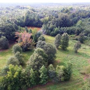 Photo of UNDER CONTRACT!  37 Acres of Hunting and Recreational Land For Sale in Brunswick County VA!