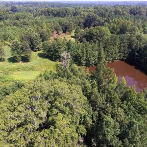 Photo of UNDER CONTRACT!  37 Acres of Hunting and Recreational Land For Sale in Brunswick County VA!
