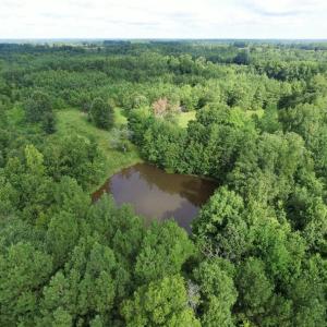 Photo of UNDER CONTRACT!  37 Acres of Hunting and Recreational Land For Sale in Brunswick County VA!