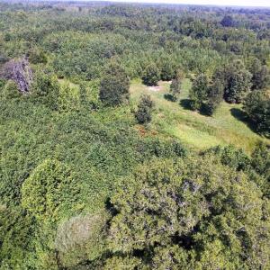 Photo of UNDER CONTRACT!  37 Acres of Hunting and Recreational Land For Sale in Brunswick County VA!
