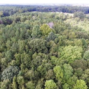 Photo of UNDER CONTRACT!  37 Acres of Hunting and Recreational Land For Sale in Brunswick County VA!