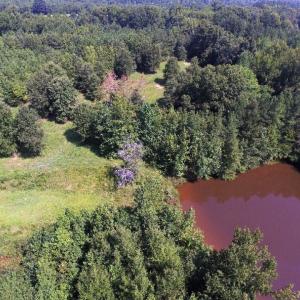 Photo of UNDER CONTRACT!  37 Acres of Hunting and Recreational Land For Sale in Brunswick County VA!