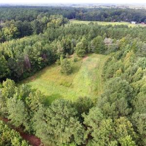 Photo of UNDER CONTRACT!  37 Acres of Hunting and Recreational Land For Sale in Brunswick County VA!