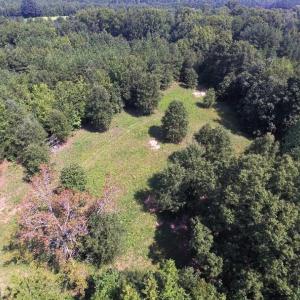 Photo of UNDER CONTRACT!  37 Acres of Hunting and Recreational Land For Sale in Brunswick County VA!