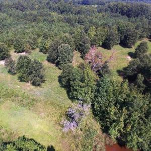 Photo of UNDER CONTRACT!  37 Acres of Hunting and Recreational Land For Sale in Brunswick County VA!