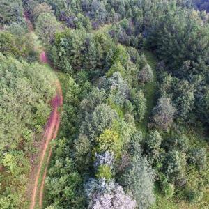 Photo of UNDER CONTRACT!  37 Acres of Hunting and Recreational Land For Sale in Brunswick County VA!