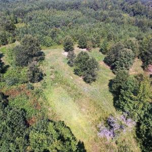 Photo of UNDER CONTRACT!  37 Acres of Hunting and Recreational Land For Sale in Brunswick County VA!