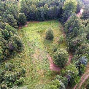 Photo of UNDER CONTRACT!  37 Acres of Hunting and Recreational Land For Sale in Brunswick County VA!