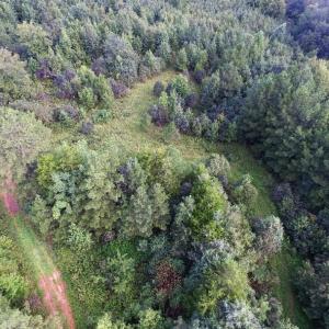 Photo of UNDER CONTRACT!  37 Acres of Hunting and Recreational Land For Sale in Brunswick County VA!