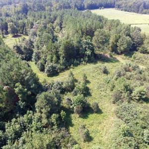 Photo of UNDER CONTRACT!  37 Acres of Hunting and Recreational Land For Sale in Brunswick County VA!