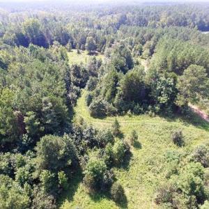 Photo of UNDER CONTRACT!  37 Acres of Hunting and Recreational Land For Sale in Brunswick County VA!