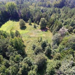 Photo of UNDER CONTRACT!  37 Acres of Hunting and Recreational Land For Sale in Brunswick County VA!