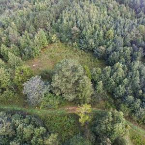 Photo of UNDER CONTRACT!  37 Acres of Hunting and Recreational Land For Sale in Brunswick County VA!