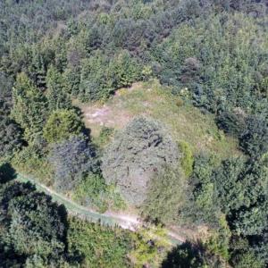 Photo of UNDER CONTRACT!  37 Acres of Hunting and Recreational Land For Sale in Brunswick County VA!