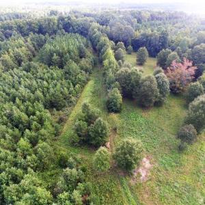 Photo of UNDER CONTRACT!  37 Acres of Hunting and Recreational Land For Sale in Brunswick County VA!