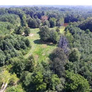 Photo of UNDER CONTRACT!  37 Acres of Hunting and Recreational Land For Sale in Brunswick County VA!