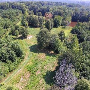 Photo of UNDER CONTRACT!  37 Acres of Hunting and Recreational Land For Sale in Brunswick County VA!