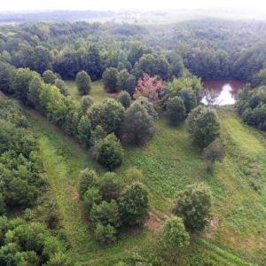 Photo of UNDER CONTRACT!  37 Acres of Hunting and Recreational Land For Sale in Brunswick County VA!
