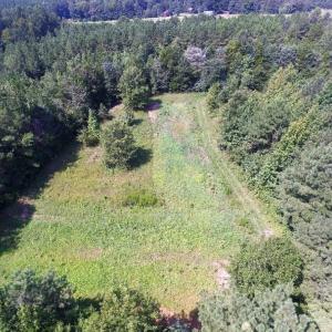 Photo of UNDER CONTRACT!  37 Acres of Hunting and Recreational Land For Sale in Brunswick County VA!