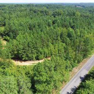 Photo of UNDER CONTRACT!  37 Acres of Hunting and Recreational Land For Sale in Brunswick County VA!