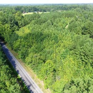 Photo of UNDER CONTRACT!  37 Acres of Hunting and Recreational Land For Sale in Brunswick County VA!